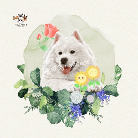 🧑‍🎨 Custom Watercolor Pet Painting