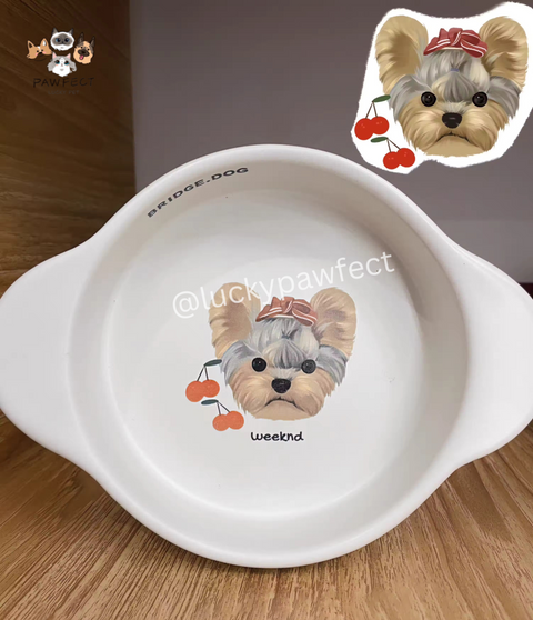 Custom Pet Bowl