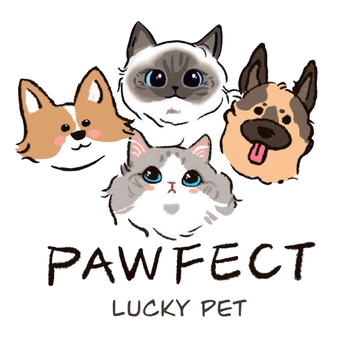 Lucky Pawfect Pet